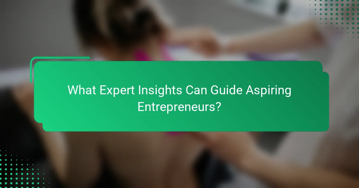 What Expert Insights Can Guide Aspiring Entrepreneurs?